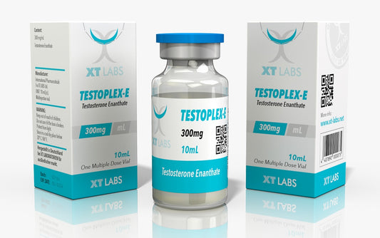Testosterona Enantato 300 mg/ml – Xt Labs (10 ml)